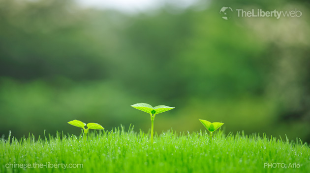 自己能治癒癌症（下）