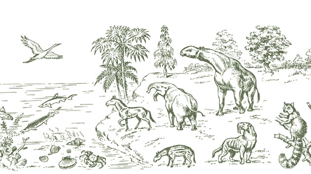 已得到明確的答案 真正的「物種的起源」 是神的創造、外星飛來和進化