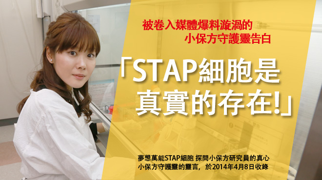 被卷入媒體爆料漩渦的小保方守護靈告白　「STAP細胞是真實的存在!」